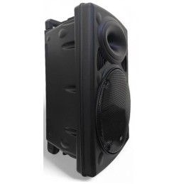 Cassa acustica amplificata 12” con microfono e telecomando Bluetooth/Radio FM