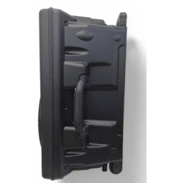Cassa acustica amplificata 12” con microfono e telecomando Bluetooth/Radio FM