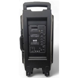 Cassa acustica amplificata 12” con microfono e telecomando Bluetooth/Radio FM