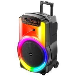 Cassa acustica trolley 40W 12" Luce LED Bluetooth/USB/SD/FM con microfono