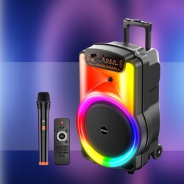 Cassa acustica trolley 40W 12" Luce LED Bluetooth/USB/SD/FM con microfono