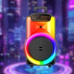 Cassa acustica trolley 40W 12" Luce LED Bluetooth/USB/SD/FM con microfono