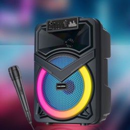 Cassa acustica ricaricabile con microfono 8" 12W KK-8107