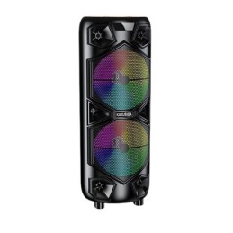 Cassa acustica ricaricabile con telecomando e microfono wireless 2x12" 60W KK-12202