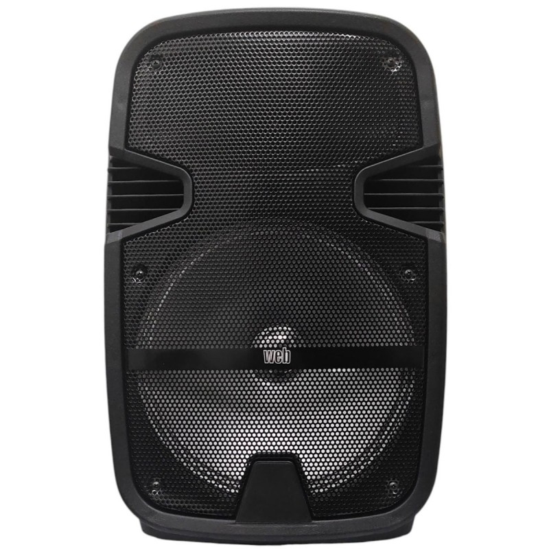 Cassa acustica ricaricabile trolley 12" 40W Luce LED Bluetooth/SD/USB Radio FM