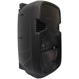 Cassa acustica ricaricabile trolley 12" 40W Luce LED Bluetooth/SD/USB Radio FM