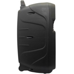 Cassa acustica ricaricabile trolley 12" 40W Luce LED Bluetooth/SD/USB Radio FM