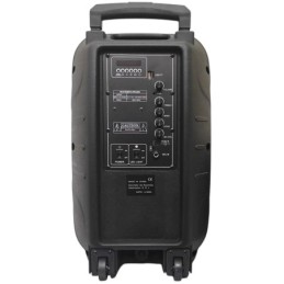 Cassa acustica ricaricabile trolley 12" 40W Luce LED Bluetooth/SD/USB Radio FM