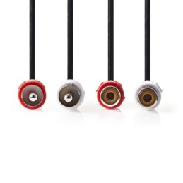 Cavo Audio Stereo 2x RCA maschio - 2x RCA femmina 10 m Nero