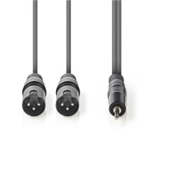 Cavo Audio XLR |2x Maschio a 3 Pin XLR-Maschio da 3,5 mm|3.0 m