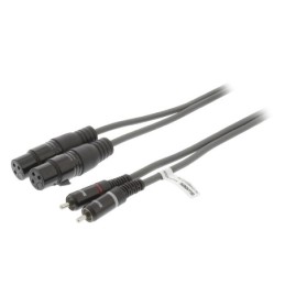 Cavo Stereo 2x XLR 3-Pin Femmina - 2x RCA Maschio 3m