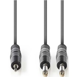 Cavo audio stereo 2x 6,35mm-3.5mm maschio 3m