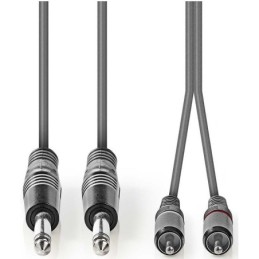 Cavo audio stereo 2x 6,35mm maschio-2x maschio RCA 1.5m