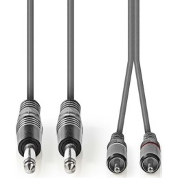 Cavo audio stereo 2x 6,35 mm maschio - 2x maschio RCA 5m