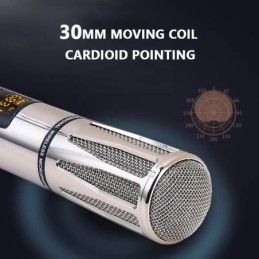 Coppia di microfoni wireless ricaricabili UHF