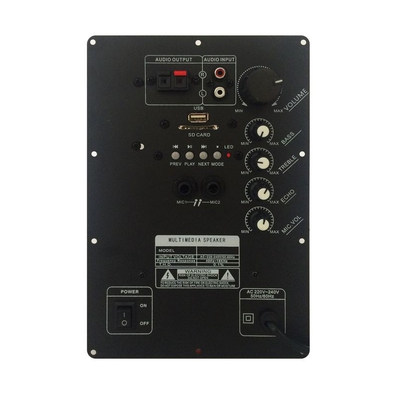 Modulo amplificatore PM100 per cassa acustica