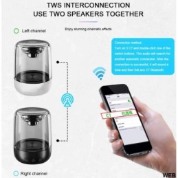 Altoparlante bluetooth TWS Bluetooth 5.0 LED Light MicroSD/TF 10W C7