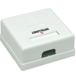 Presa a muro 2 prese RJ45 cat. 5E UTP Intellinet