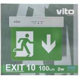 Lampada LED uscita d'emergenza freccia verso il basso 2W 6500k luce fredda