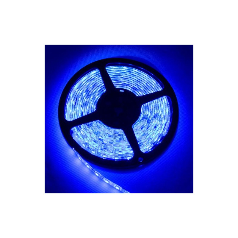 Striscia flessibile LED Blu SMD 5 metri