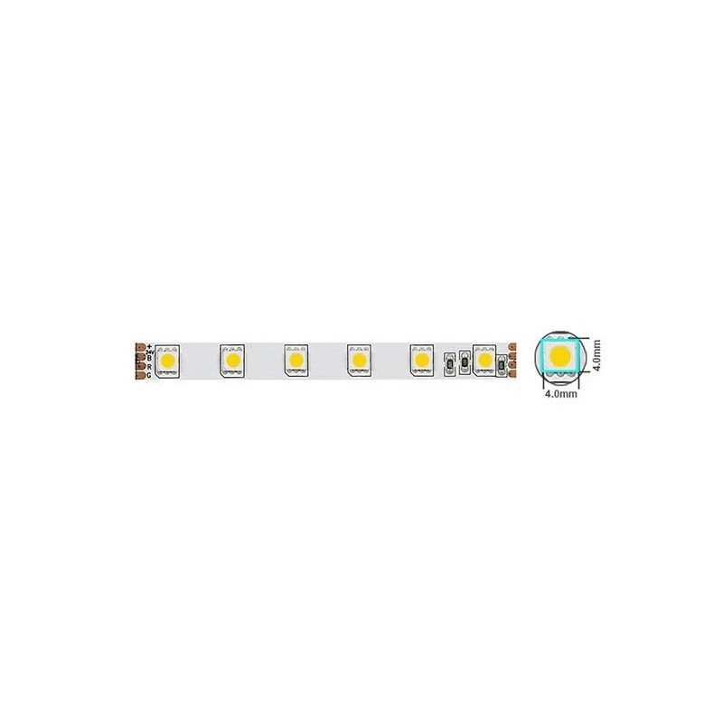 Striscia LED 14,4W/m 1200lm luce fredda 6500K  12V IP20 5m Vito