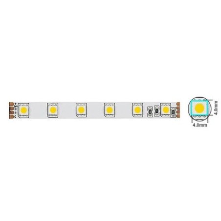 Striscia LED 14,4W/m 1200lm luce fredda 6500K  12V IP20 5m Vito
