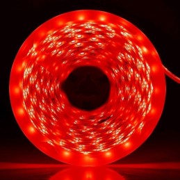 Striscia LED 12V 5m luce rossa 4.8W/m