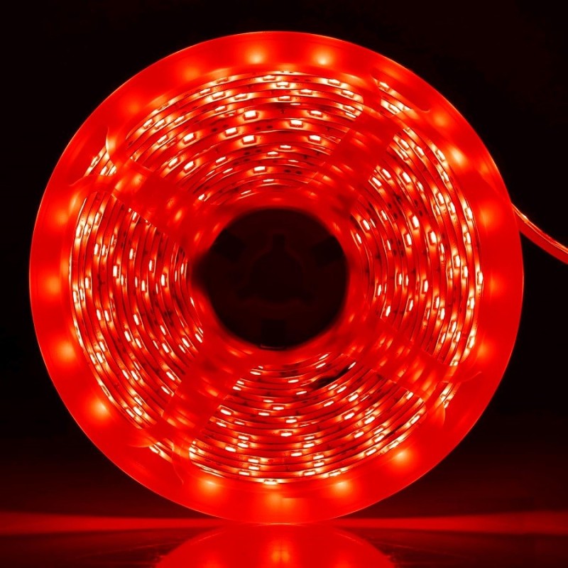 Striscia LED 12V 5m luce rossa 4.8W/m