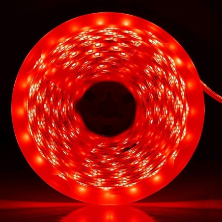 Striscia LED 12V 5m luce rossa 4.8W/m