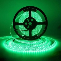 Striscia LED 12V 5m luce verde 4.8W/m