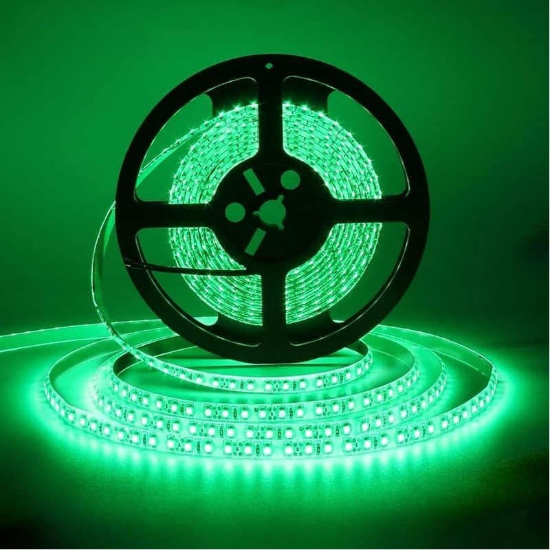 Striscia LED 12V 5m luce verde 4.8W/m