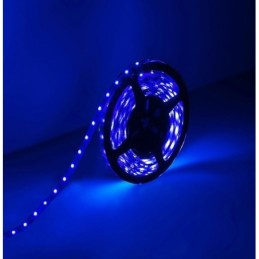 Striscia LED 12V 5m luce blu 4.8W/m