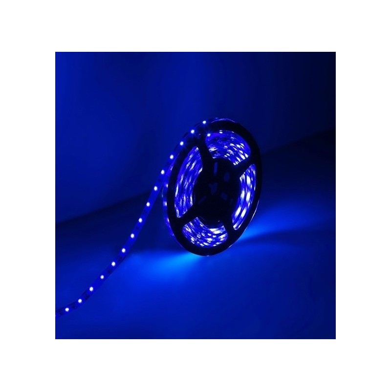 Striscia LED 12V 5m luce blu 4.8W/m