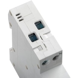 Interruttore magnetotermico 1P+N C25 25A Kanlux