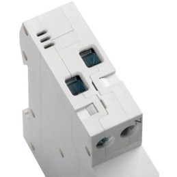 Interruttore magnetotermico 1P+N C20 20A Kanlux