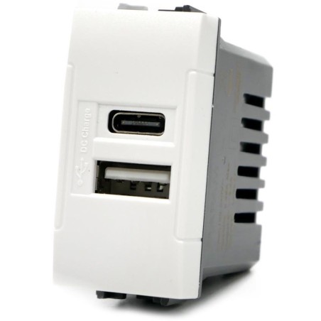Doppia presa USB USB A - USB tipo C 5V 2.4A compatibile Living International