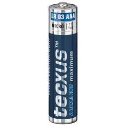 Batteria al manganese alcalino LR03/AAA (Micro) 1.5V confezione da 24  Tecxus