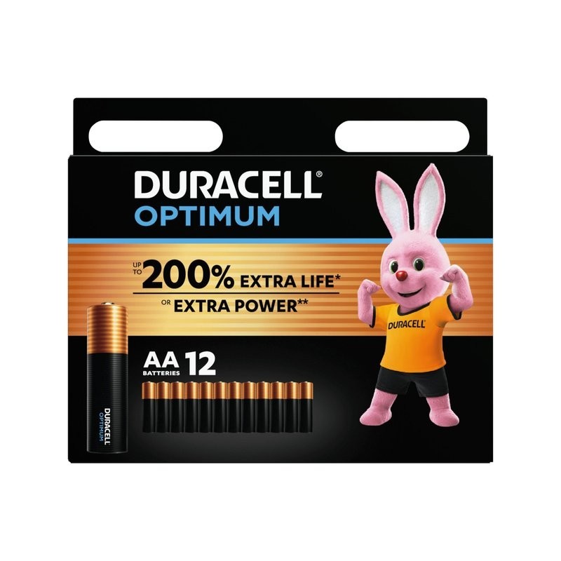 Batterie stilo AA alcaline 1.5V confezione da 12 Duracell