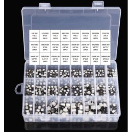 Condensatore elettrolitico in alluminio 1UF ~ 1000UF 6.3V-50V confezione da 400