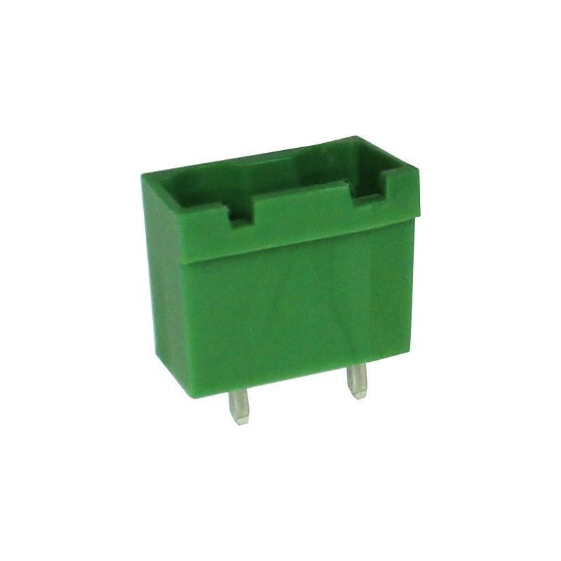 Connettore maschio THT Solder Pin [PCB, Through-Hole] 2P
