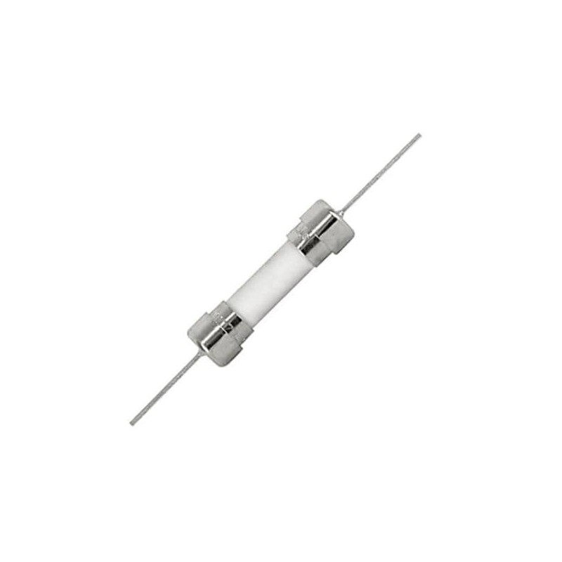 Fusibile ceramico 5x20 mm 2A 250V - ritardato con terminali a saldare