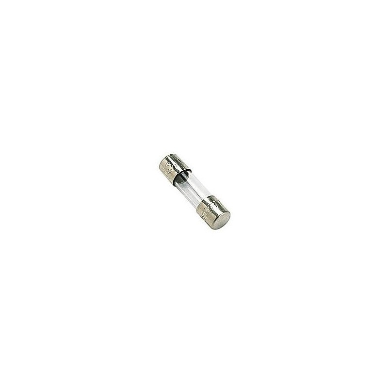 Fusibile ritardato 5x20mm 0.30A 250V - confezione da 10 pezzi
