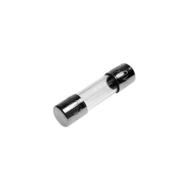 Fusibile ritardato 250V 5x20mm 1A confezione da 10